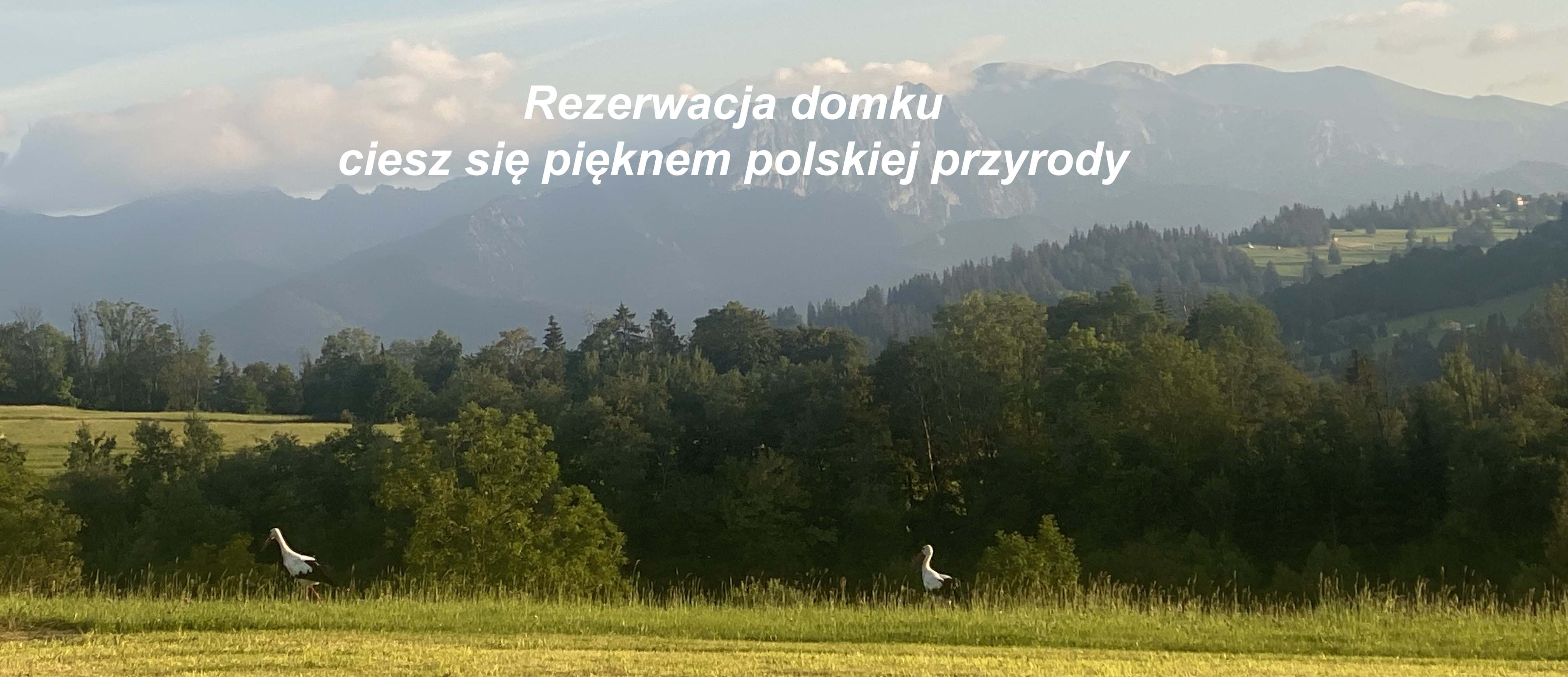 Rezerwacja